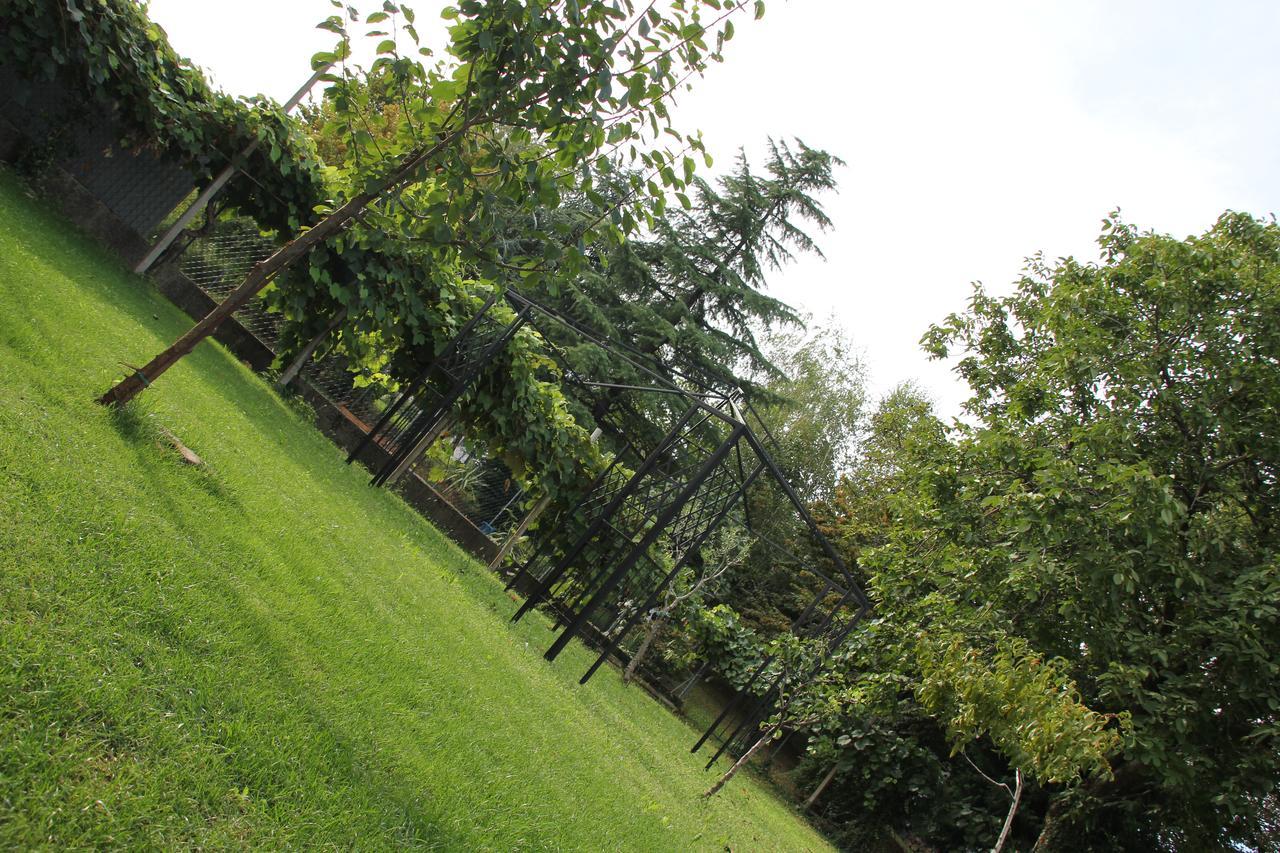 Casa Pellis Bed & Breakfast Fagagna Exterior foto